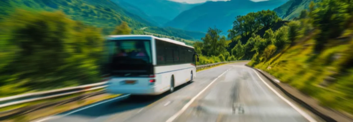 About us